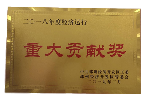 重大貢獻(xiàn)獎(jiǎng)