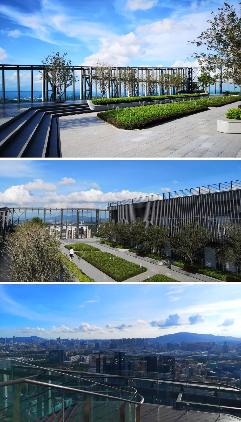 10.webp.jpg 10.webp.jpg